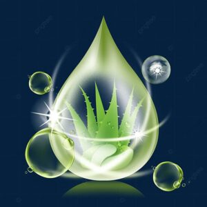 Aloe vera