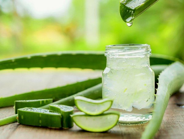 Aloe vera gel concentré