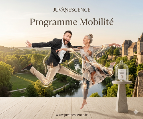 🌀Programme Mobilité
