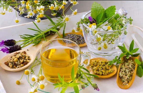 Tisane drainante multi plantes